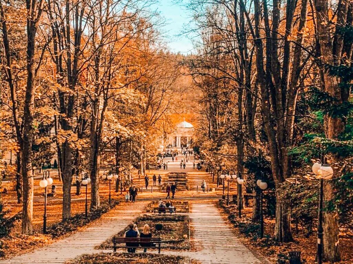 Apartament Z Widokiem Na Park Bad Altheide Exterior foto